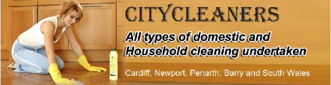 Cardiff Curry City cleaners 